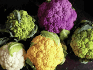 Working with Plant Pigments in Food and Beverage Development